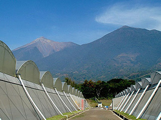 Environment