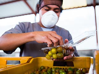 Food Safety